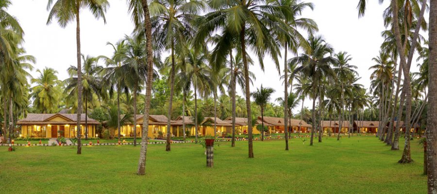 Palmgarten und Zimmer, Sitaram Beach Retreat, Ayurveda in Kerala