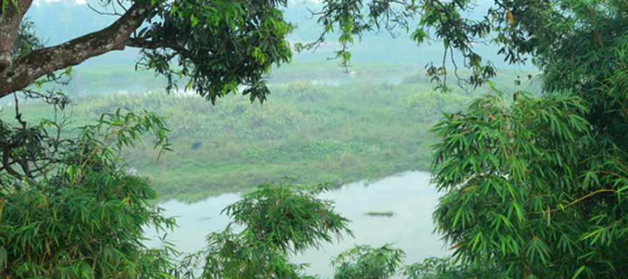 Blick auf den Periyar-Fluss im Nagarjuna Ayurvedic Centre