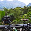 Plantagen und Wälder Keralas erradeln | Fahrradreise