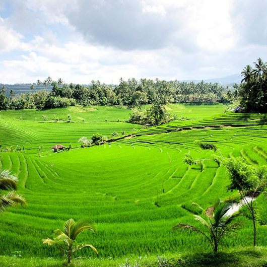 Faszination Java und Bali | Individualreise