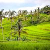 Faszination Java und Bali | Individualreise