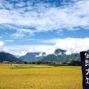 Taiwan Kultur & Natur | Individualreise
