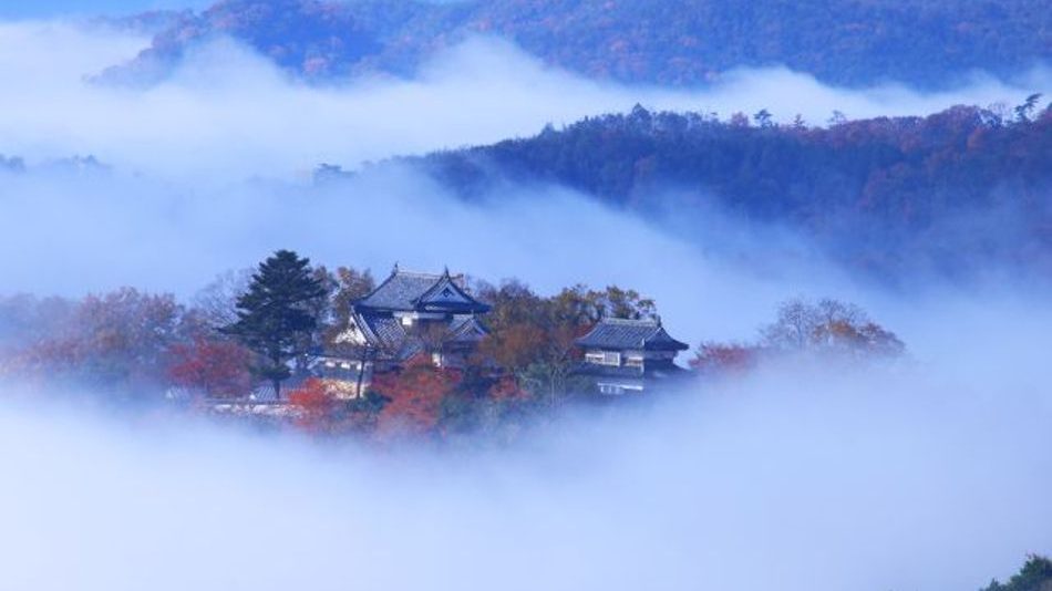 Faszination Shikoku | Individualreise